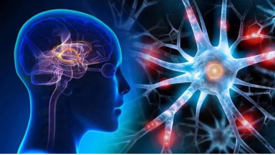 স্মৃতিশক্তি বাড়াতে কিছু কাজ